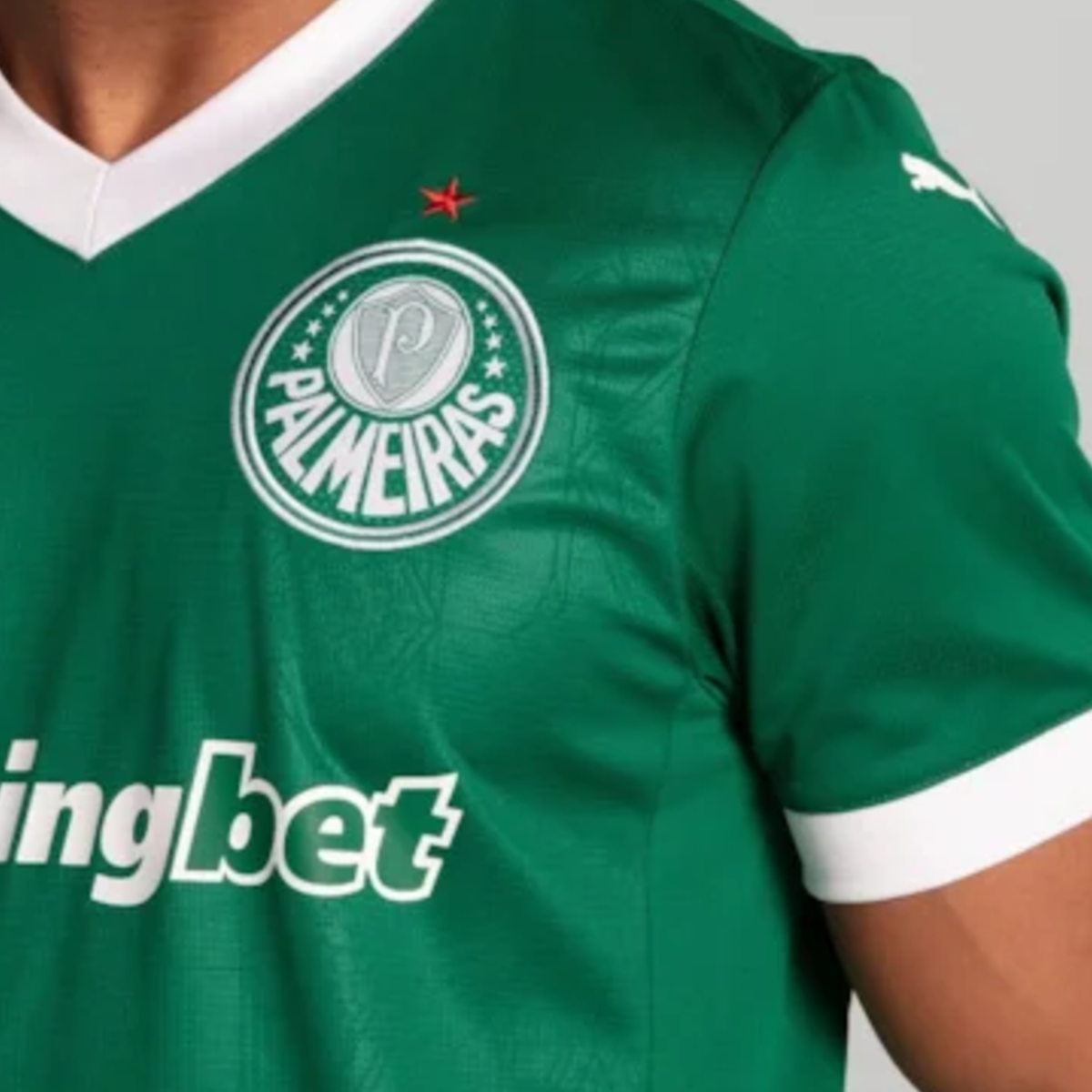 Palmeiras