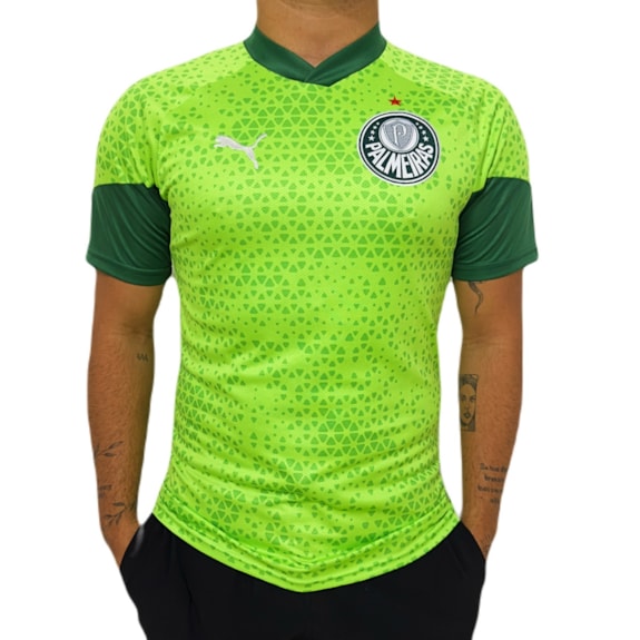 Camisa Palmeiras Puma 2024 Treino Verde - Masculino