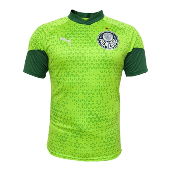 Camisa Palmeiras Puma 2024 Treino Verde - Masculino