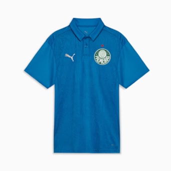 Camisa Palmeiras Puma 2025 Polo Treino - Masculino