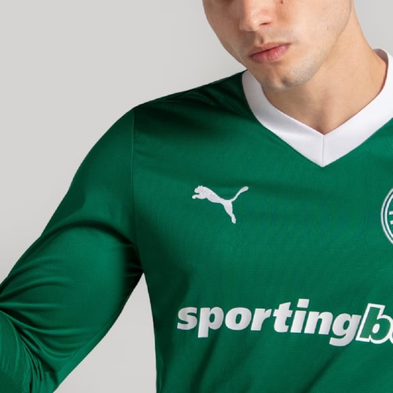 Camisa Palmeiras Puma 2025 Uniforme 1 Manga Longa Torcedor - Masculino