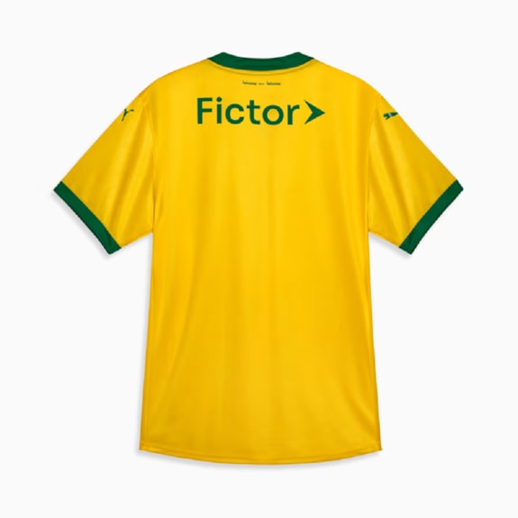 Camisa Palmeiras Puma 2025 Uniforme 3 Jogador - Masculino