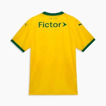 Camisa Palmeiras Puma 2025 Uniforme 3 Torcedor - Masculino