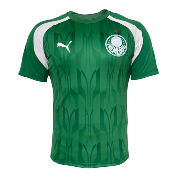 Camisa Palmeiras SEP Prematch SS Jersey Puma 2024 Pré-Jogo Verde - Masculino