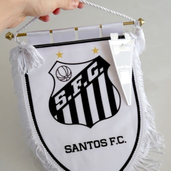 Flâmula Santos Futebol Clube Oficial
