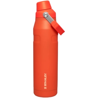 Garrafa Térmica Aerolight Fast Flow Tigerlily 1,1ml Stanley Original